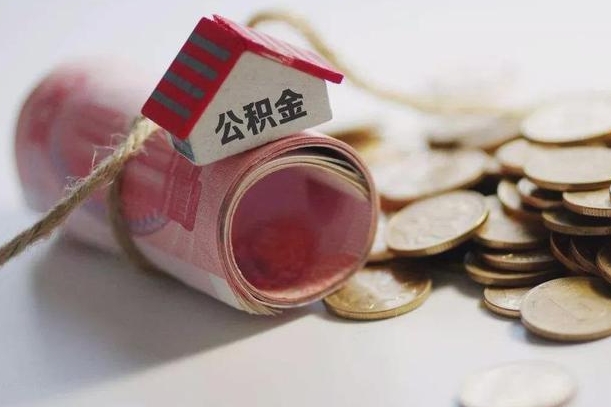白山补充公积金（补充公积金怎么查）